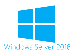 Windows Server Network Support